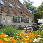 De Stormvogel De Stormvogel